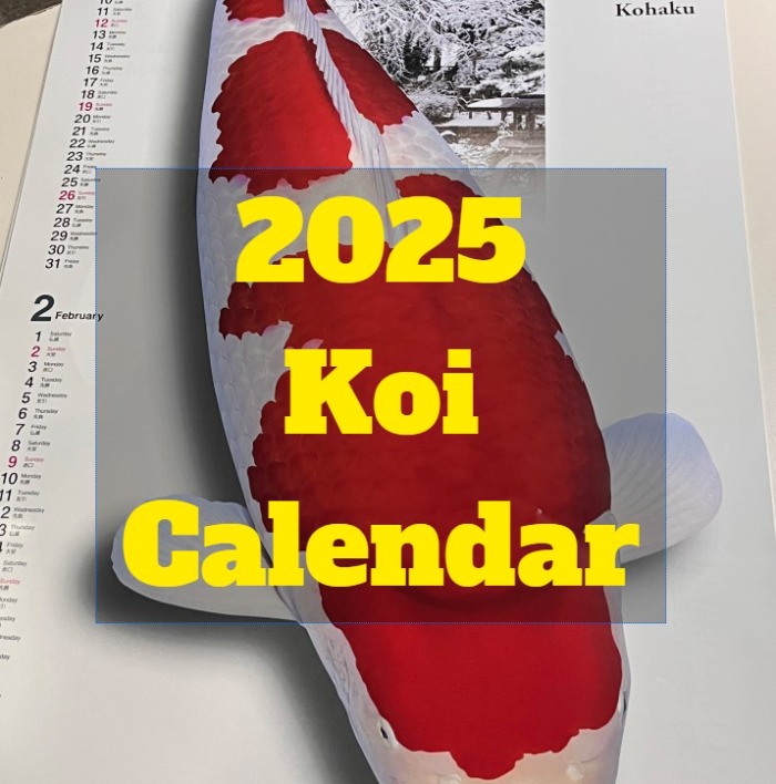 2025년 비단잉어 달력