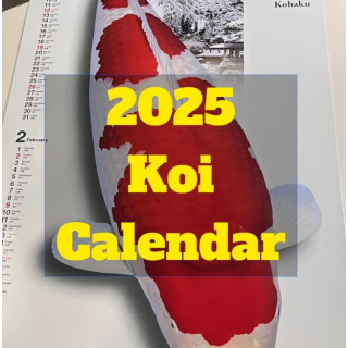 2025년 비단잉어 달력