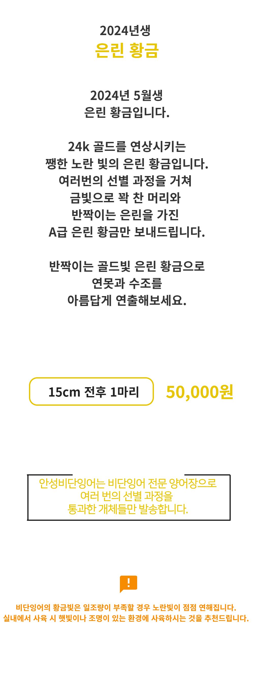악세사리 -S1L7