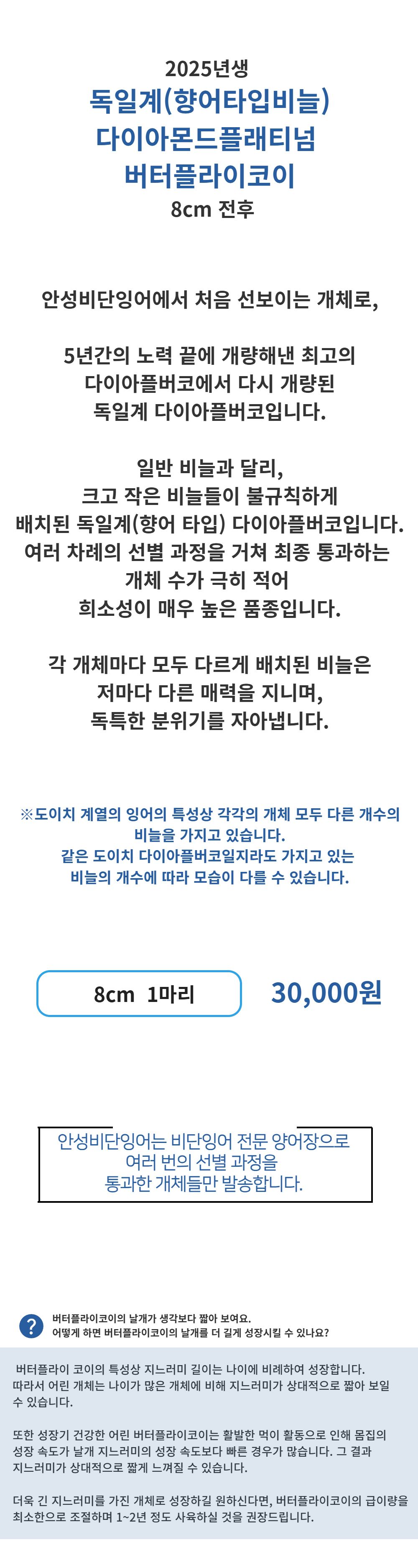 점퍼 -S1L1