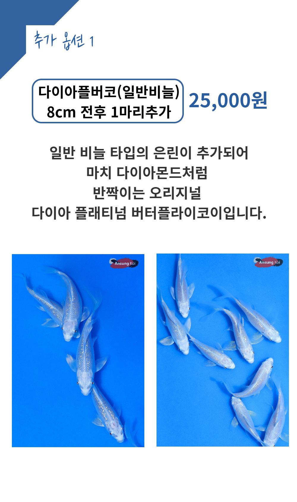 점퍼 상품상세 이미지-S17L1