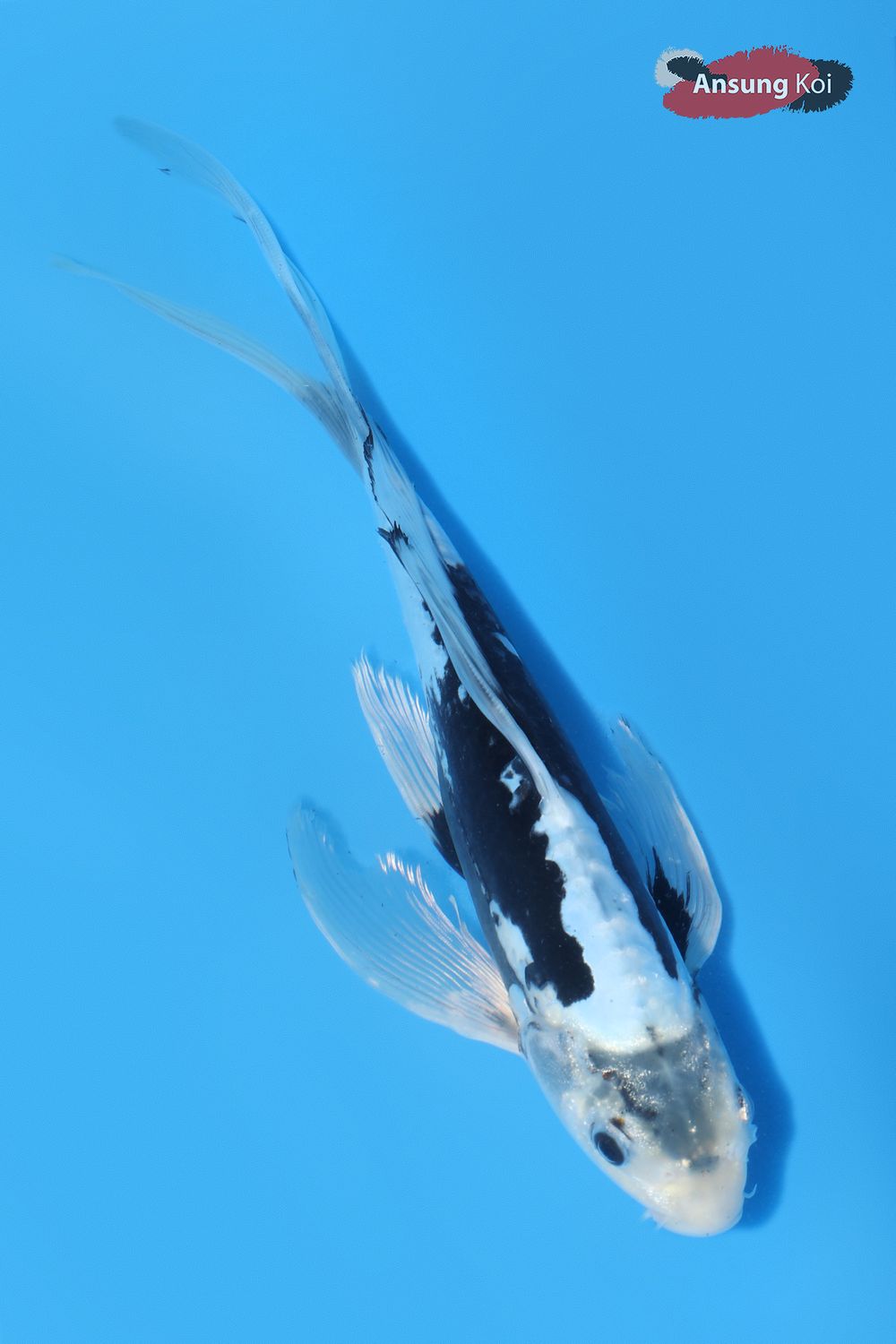 1128_detail3.jpg