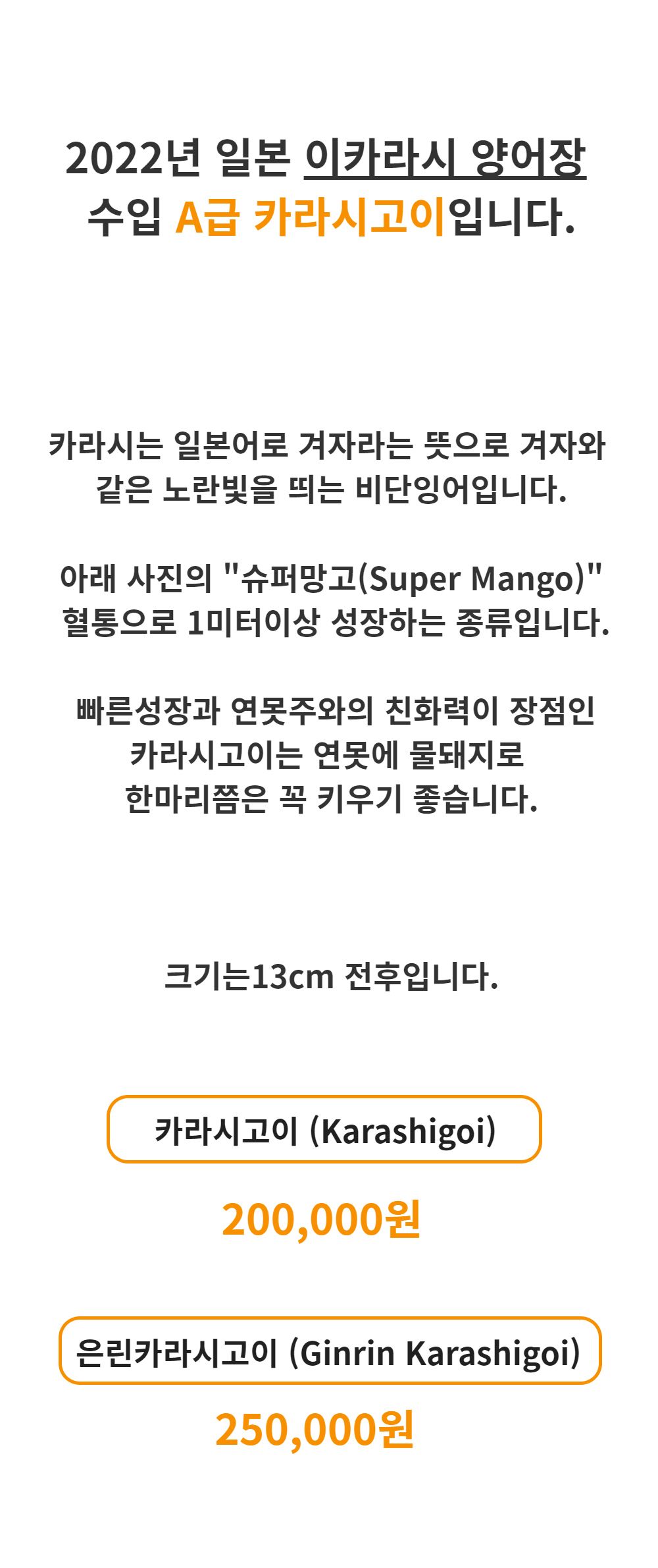 점퍼 -S1L1
