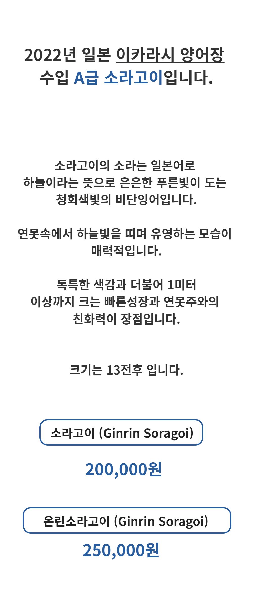 점퍼 -S1L1