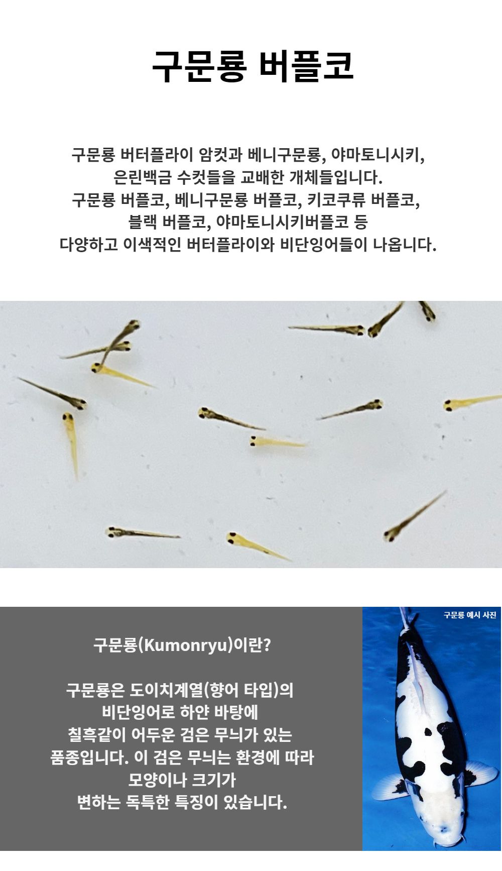 악세사리 -S2L1