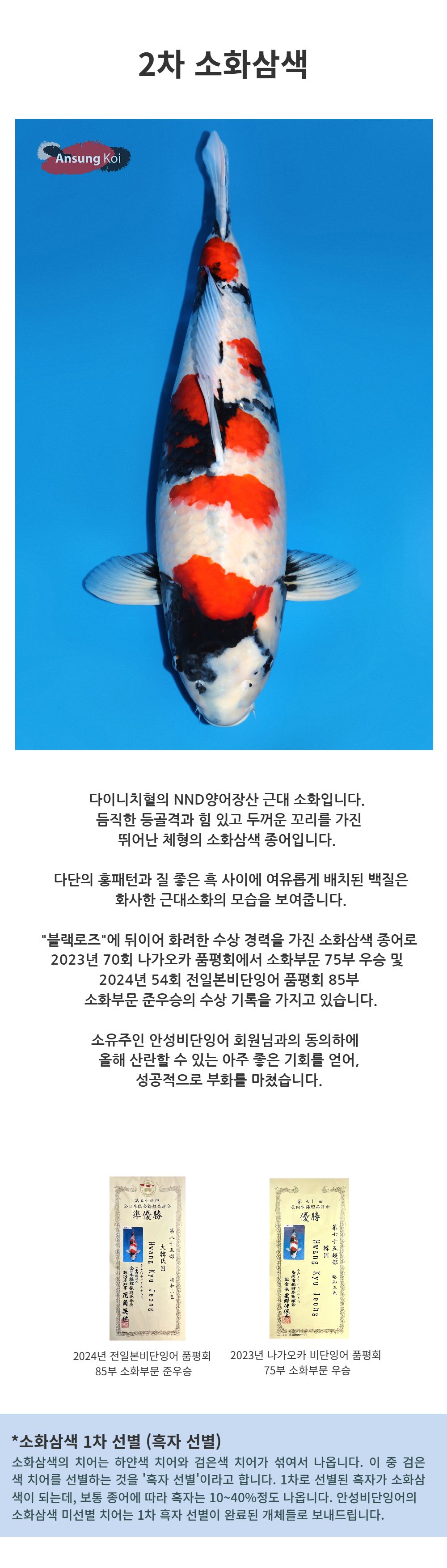 악세사리 -S9L1