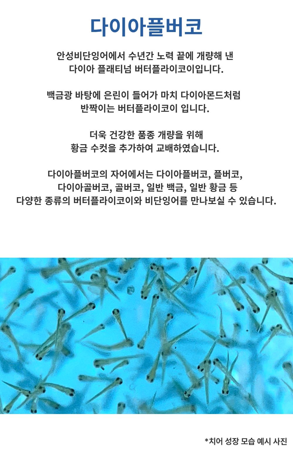 악세사리 -S1L9