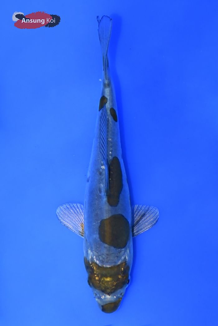 122_detail1.jpg