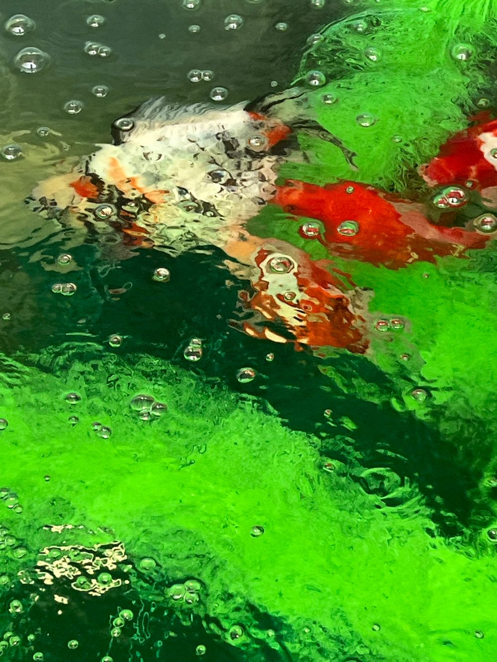 악세사리 상품상세 이미지-S1L46