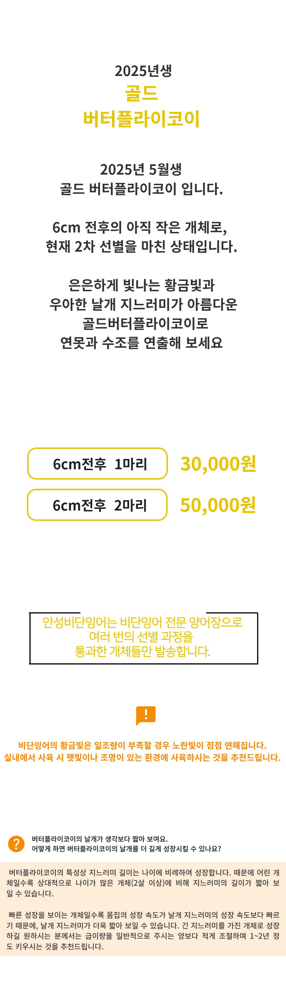 점퍼 -S1L41