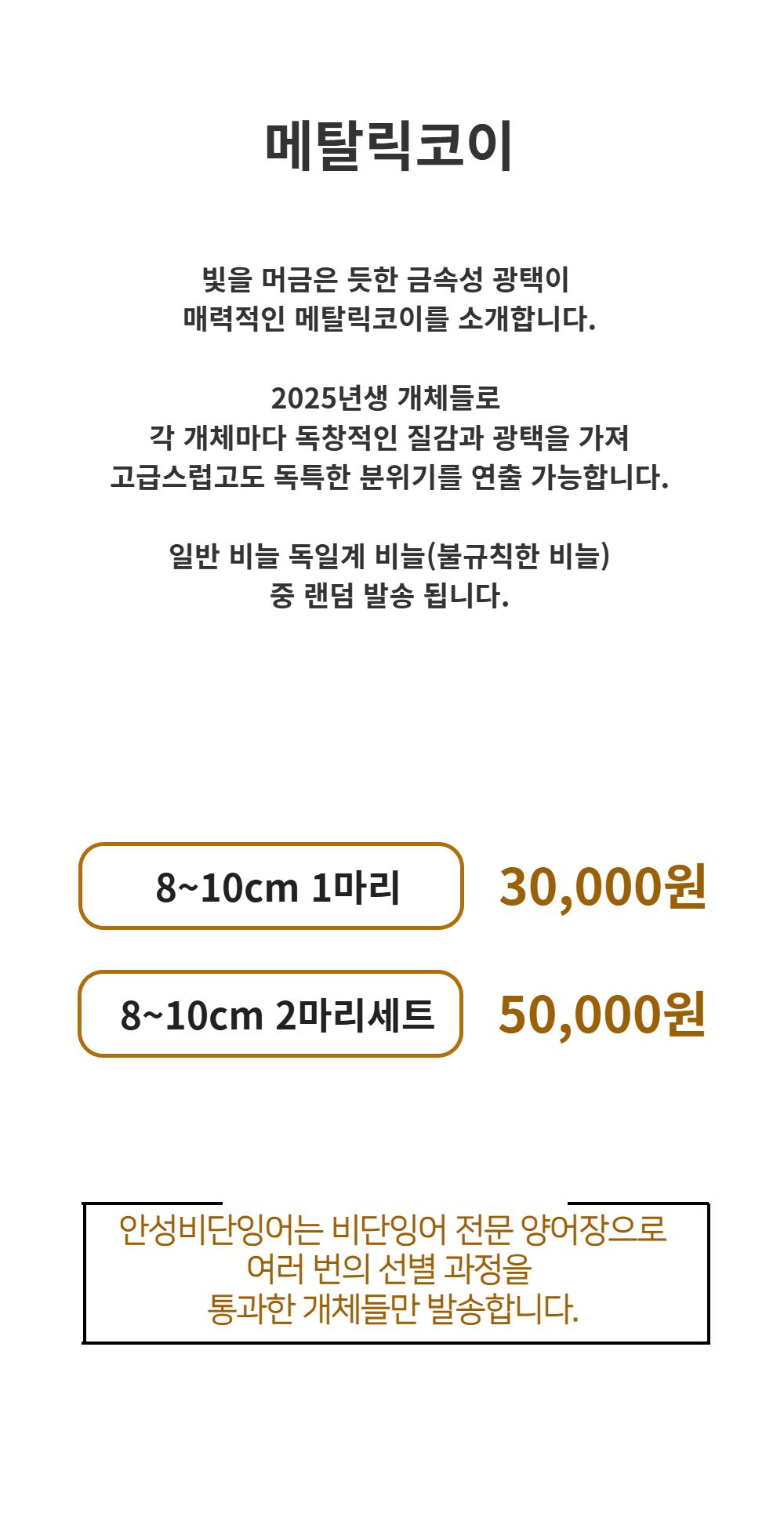 악세사리 -S1L10