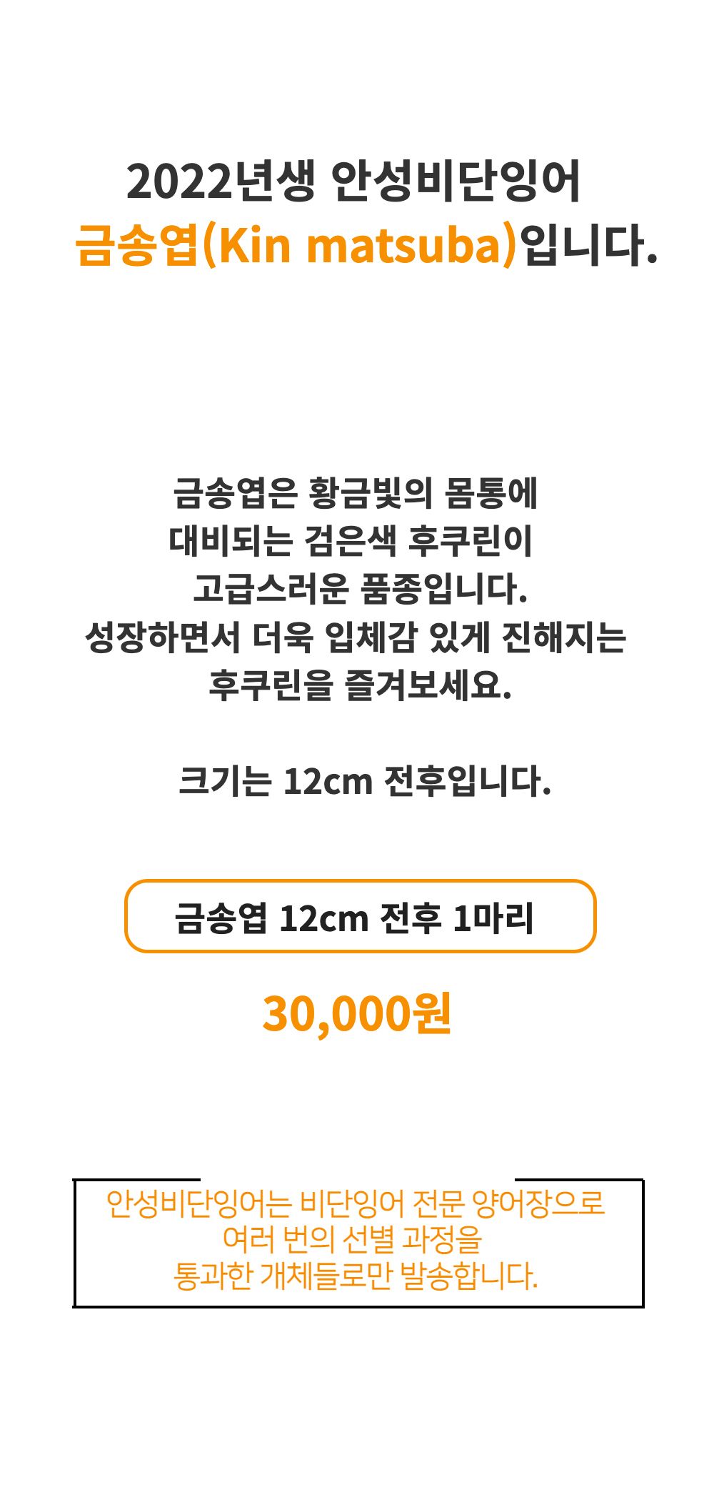 악세사리 -S1L1