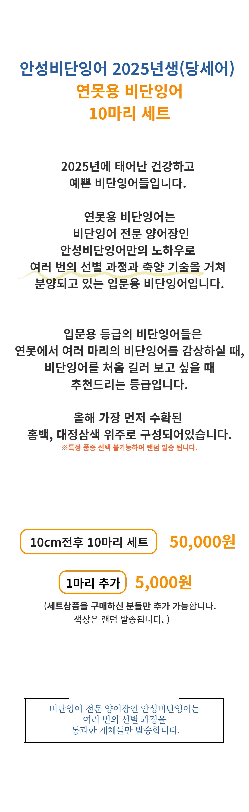 악세사리 -S40L1