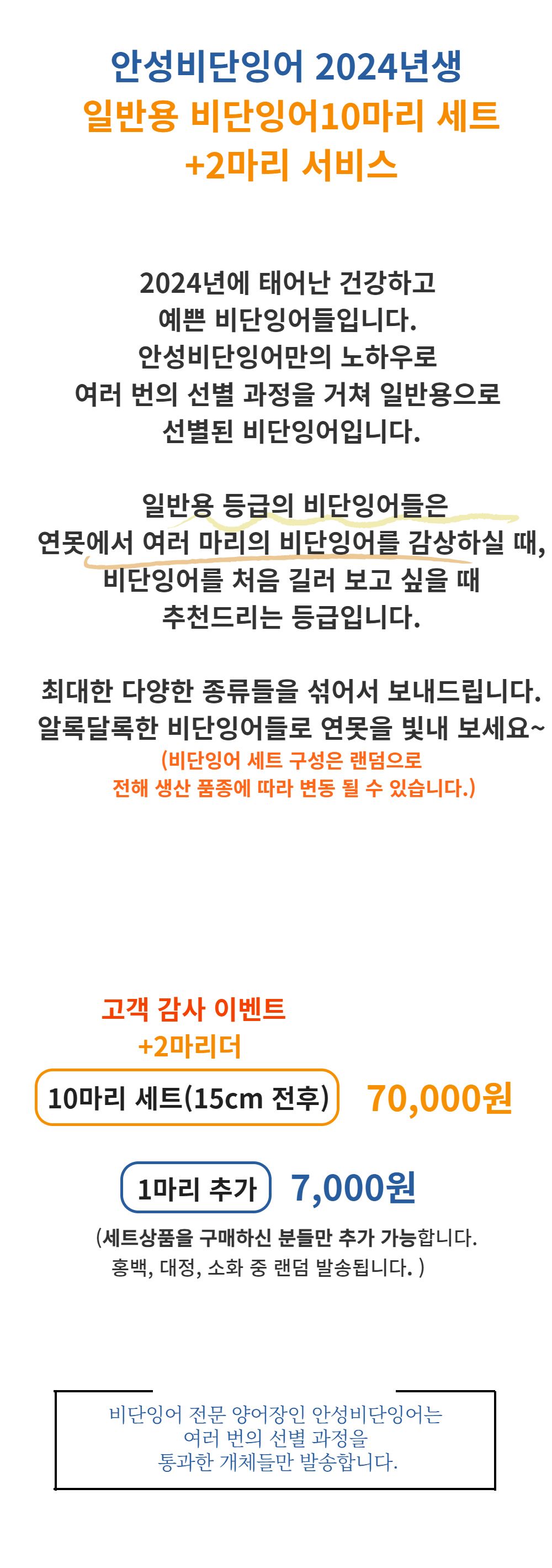 점퍼 -S16L1