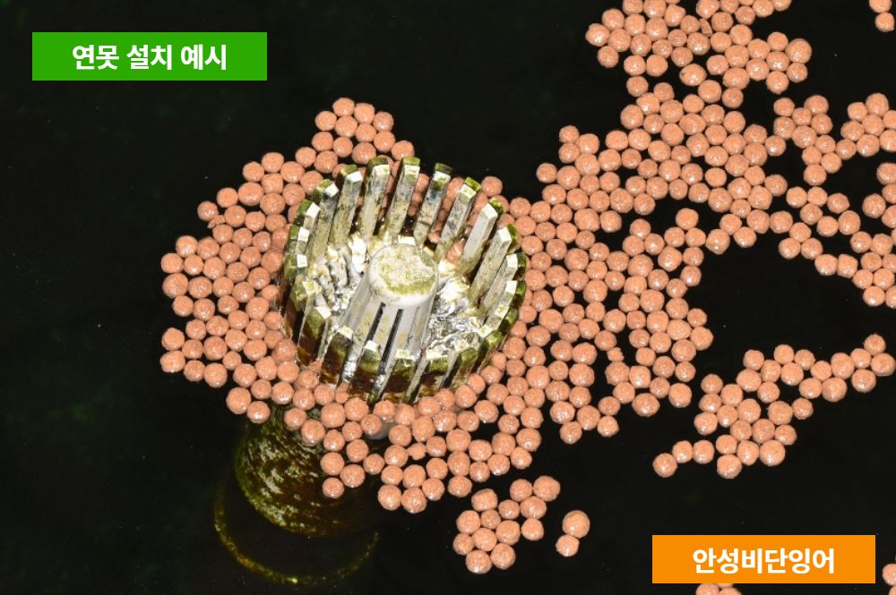 악세사리 상품상세 이미지-S1L8
