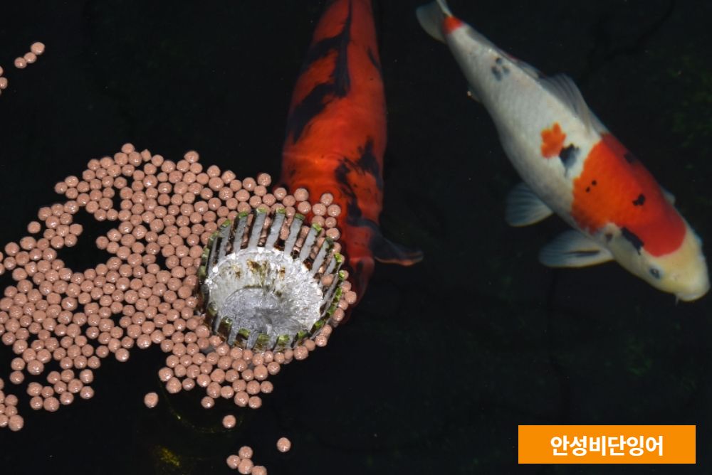 악세사리 상품상세 이미지-S2L6