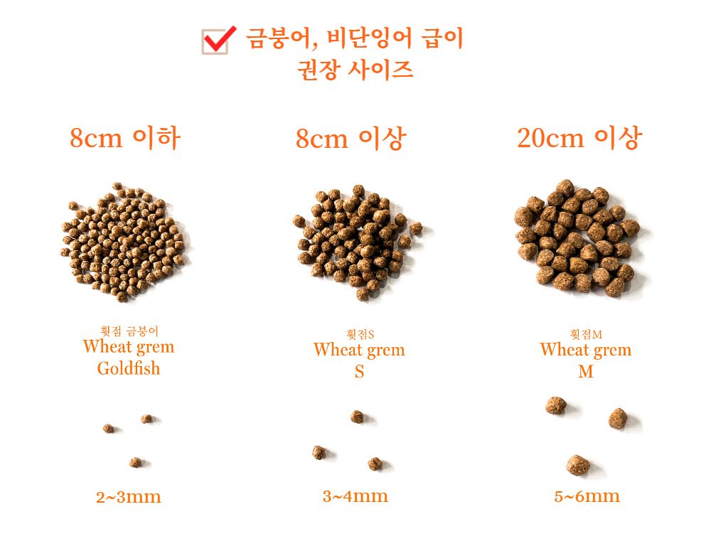 화장품 -S8L1