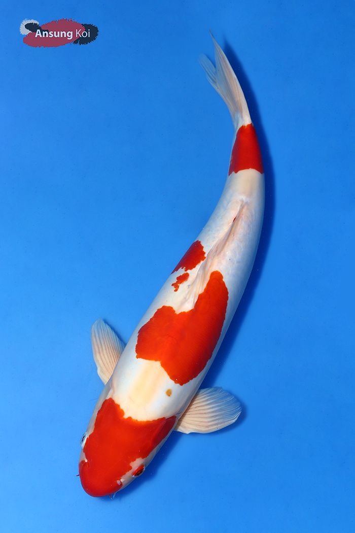 315_detail2.jpg