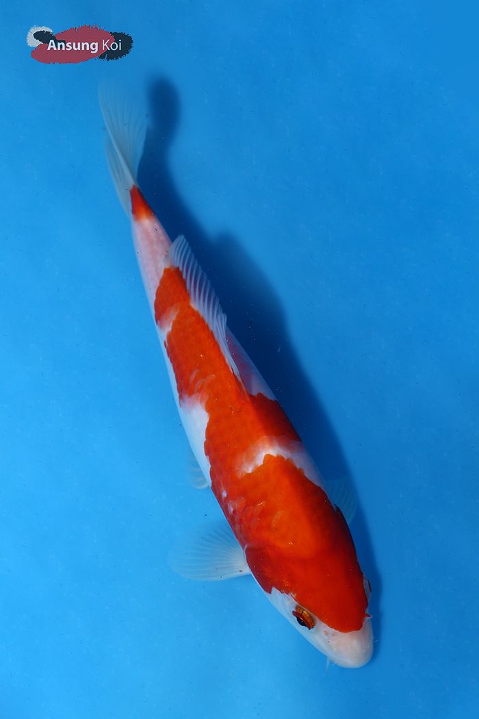 373_detail3.jpg