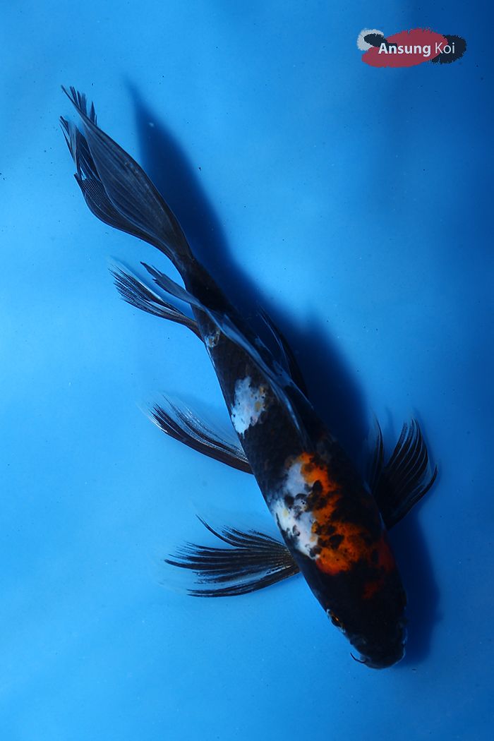 398_detail2.jpg