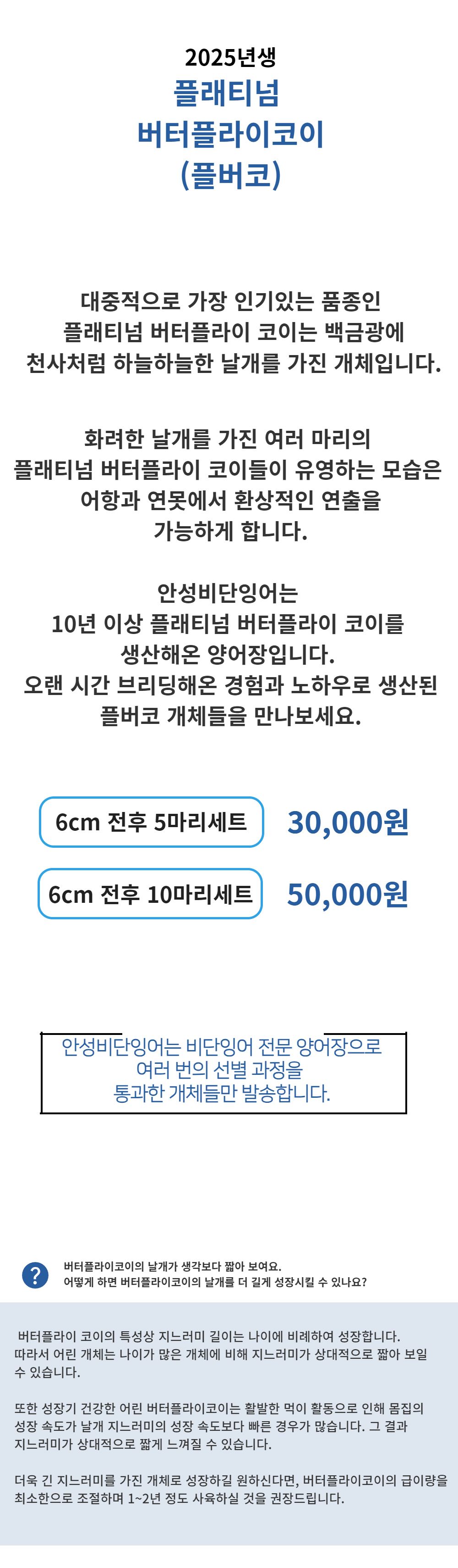 악세사리 -S1L2