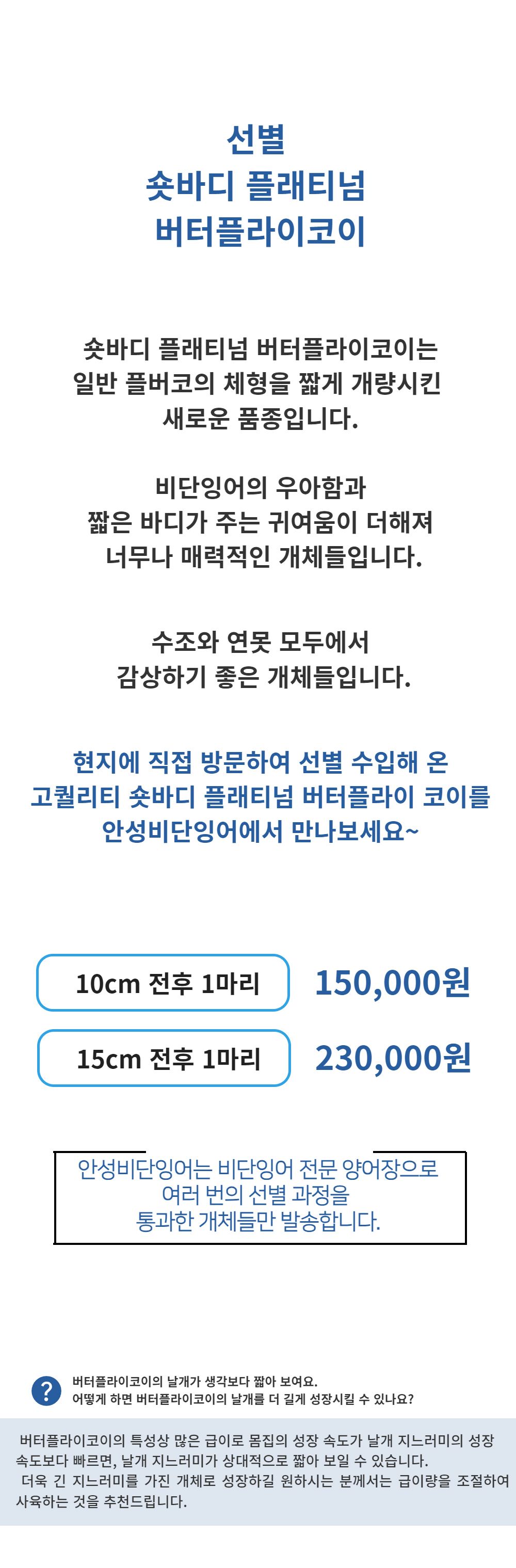 악세사리 -S1L3