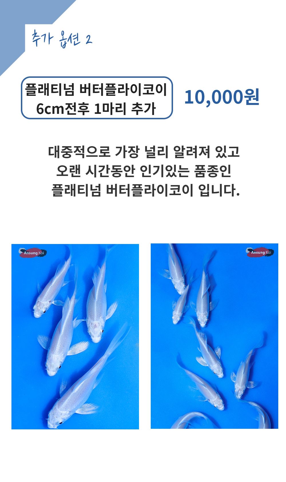 악세사리 -S30L2