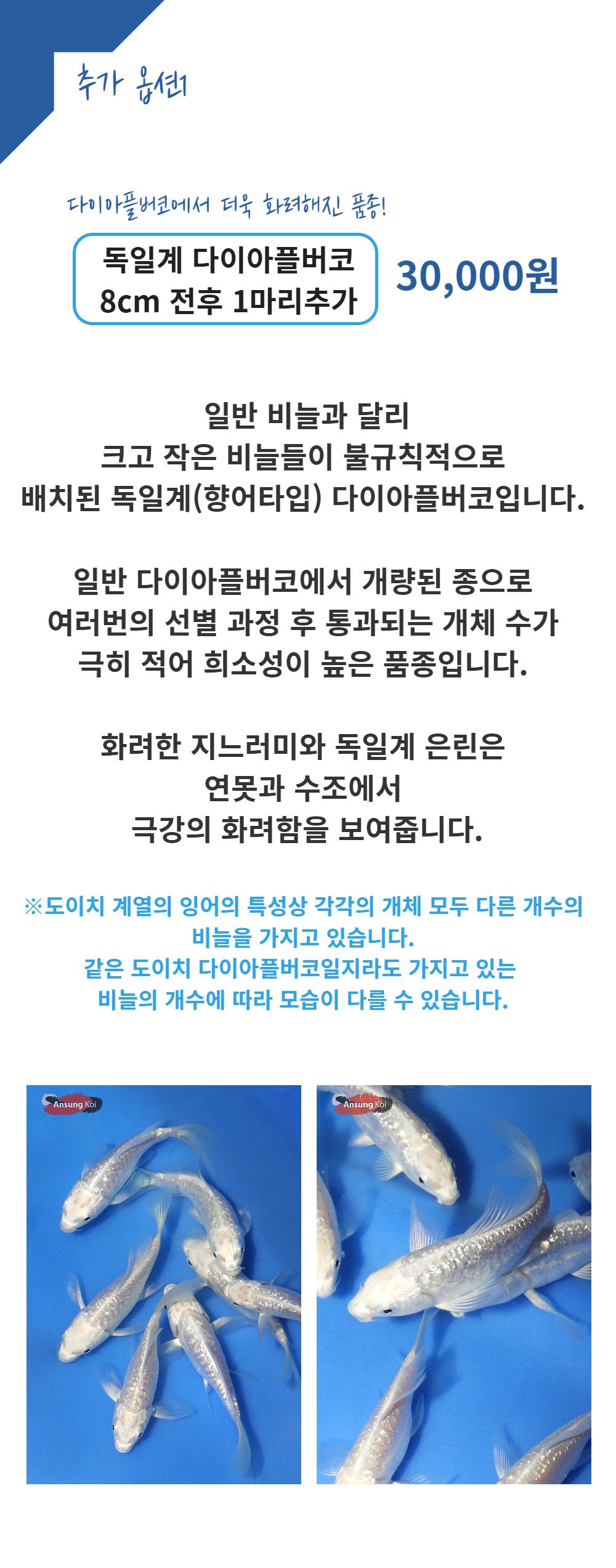 악세사리 -S30L1