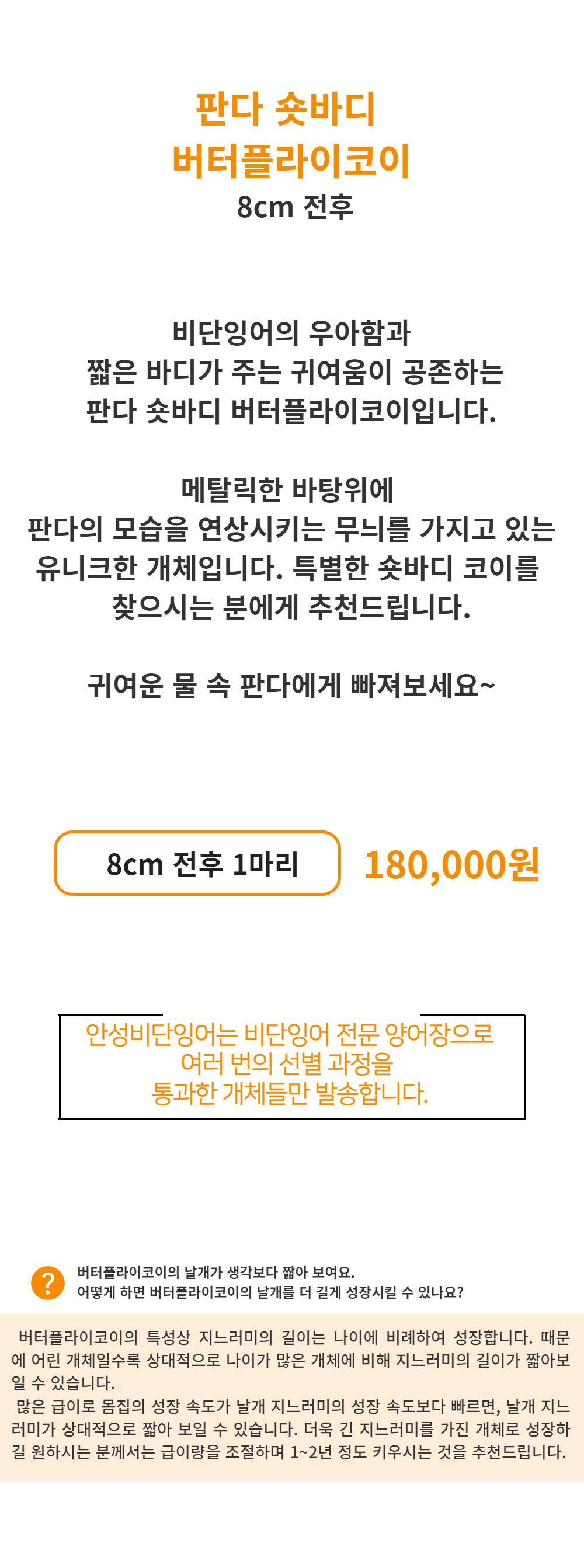 악세사리 -S1L6