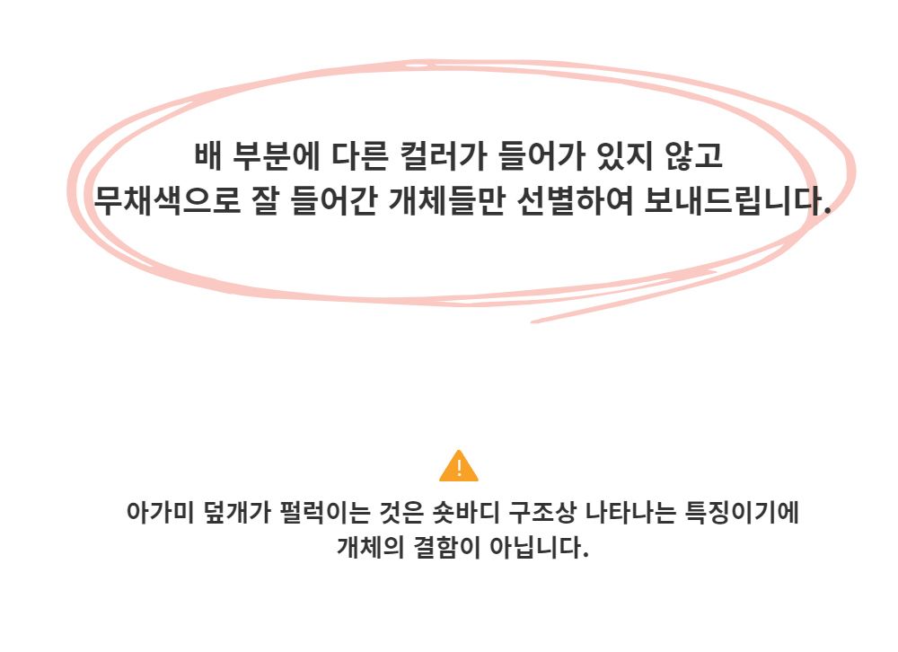 악세사리 -S3L2