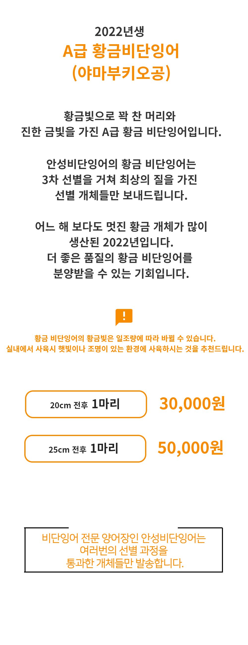 악세사리 -S1L2