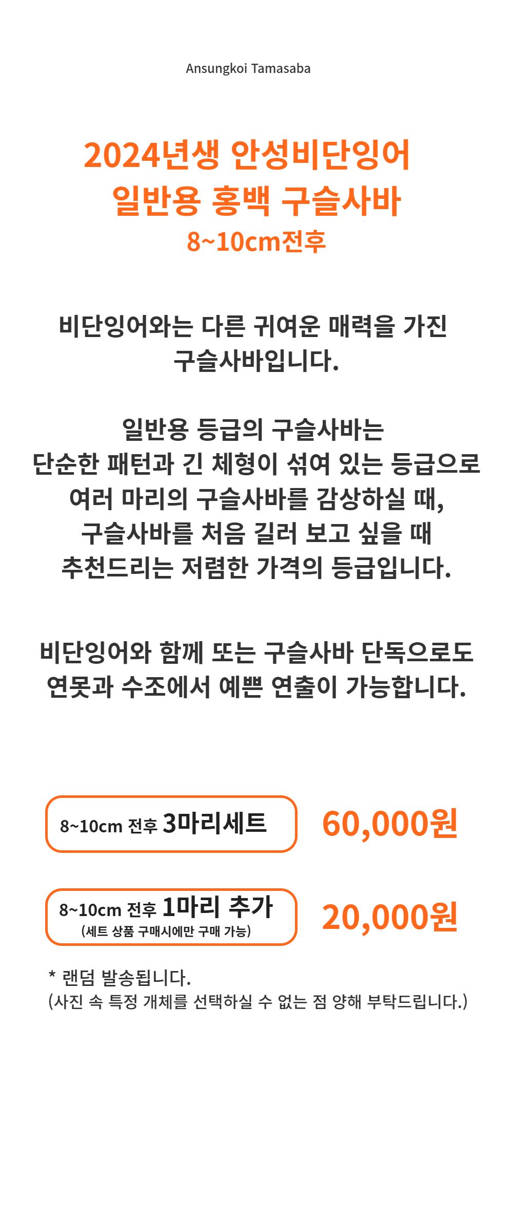 악세사리 -S1L2