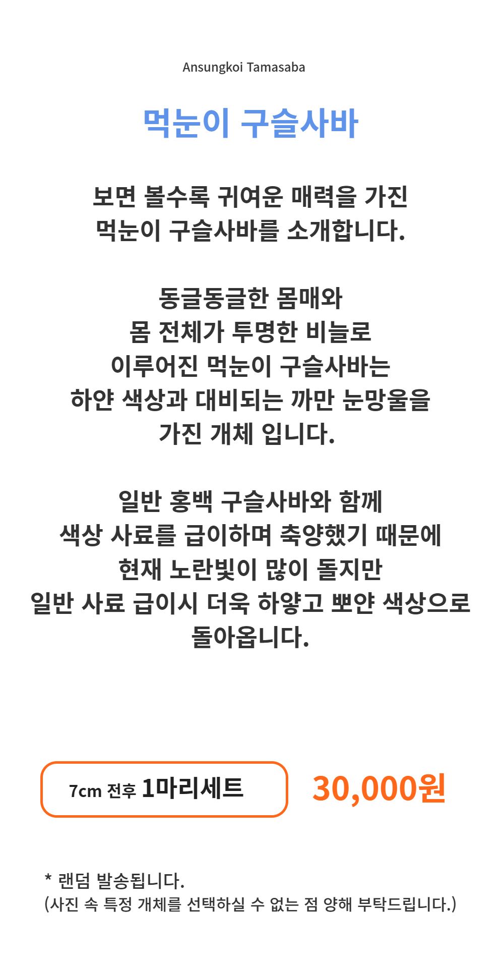 양말 -S1L3