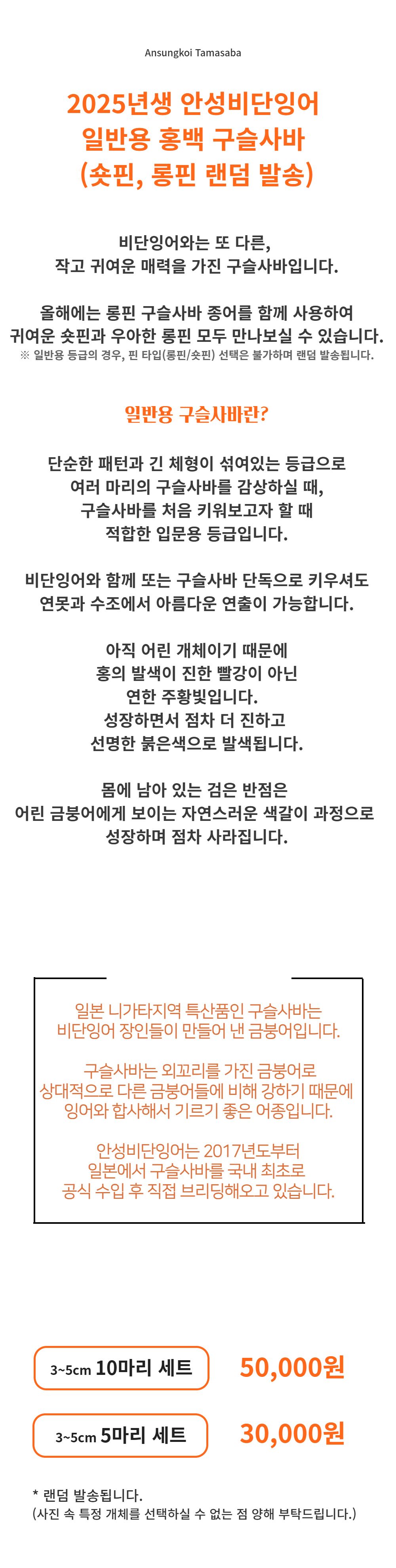 머플러 -S1L2