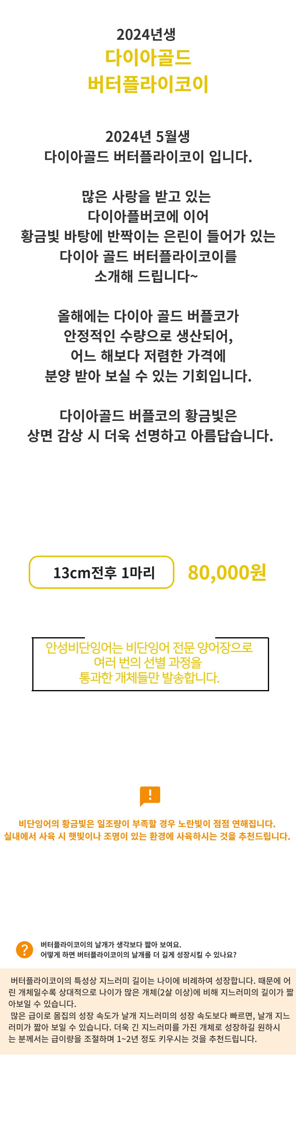 점퍼 -S1L2