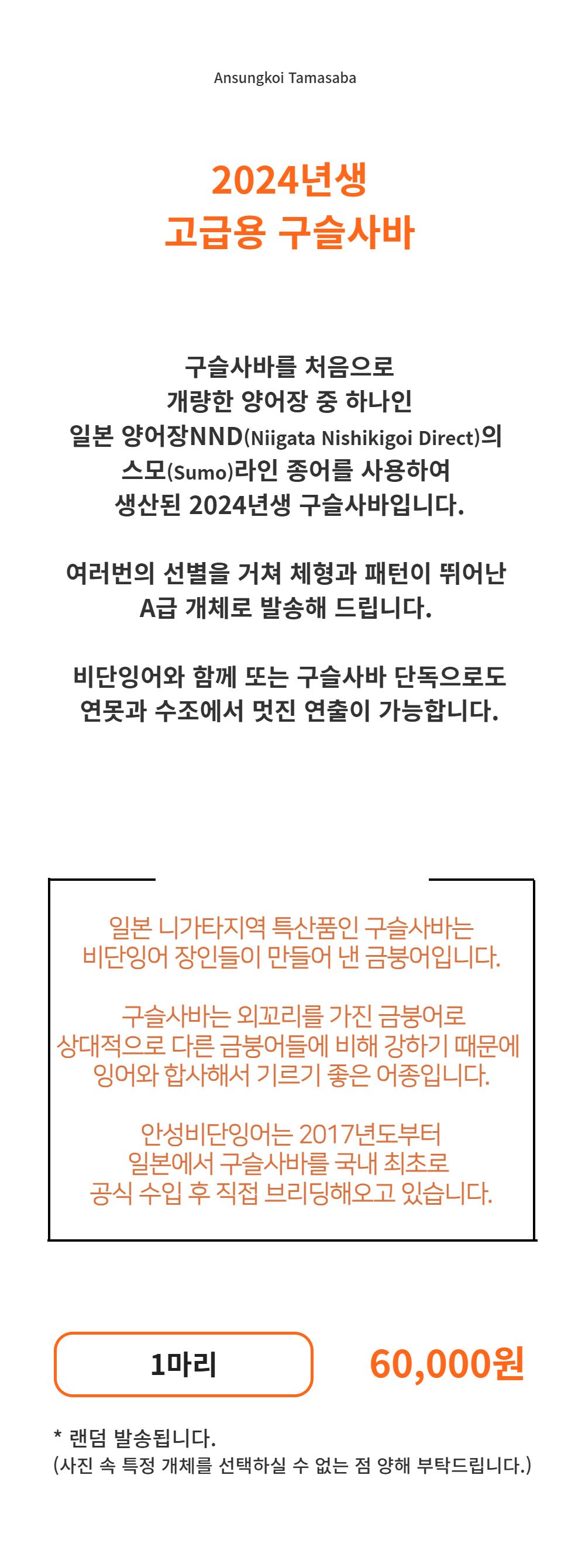 악세사리 -S1L2