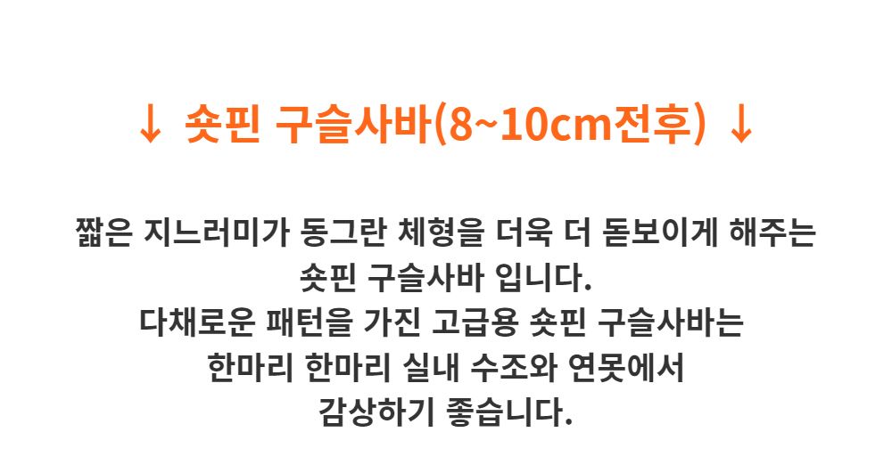 악세사리 -S3L2