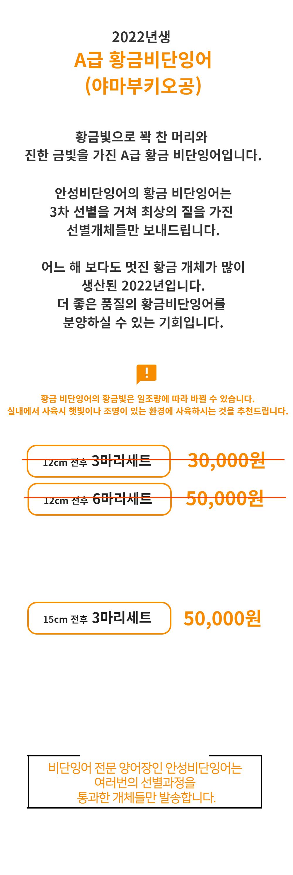 악세사리 -S1L1