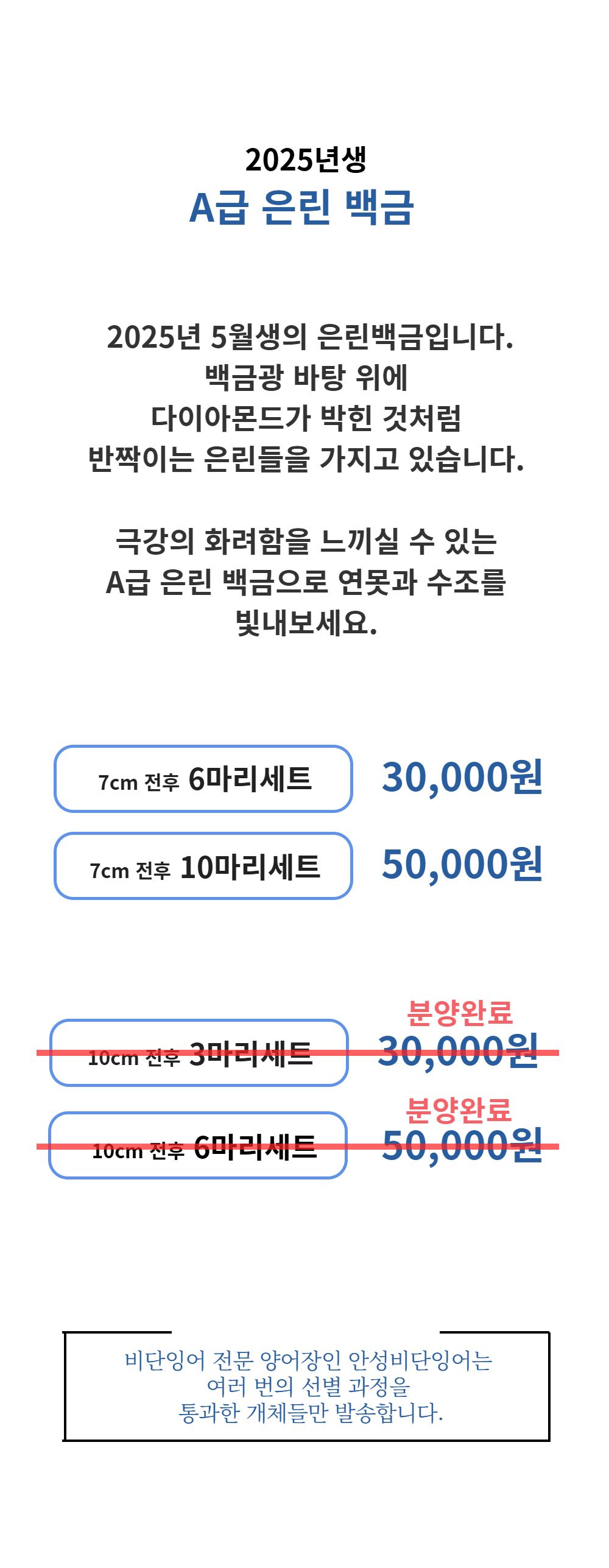 악세사리 -S1L1