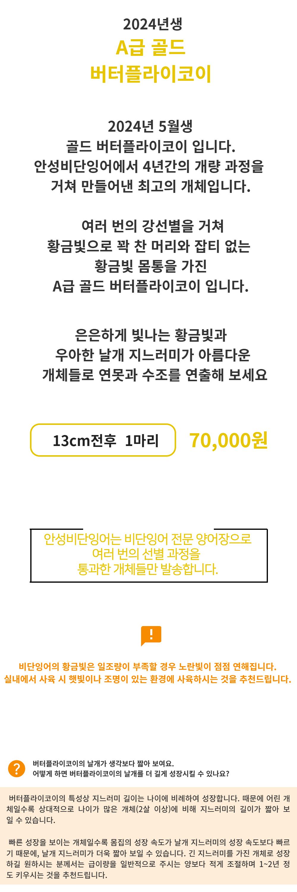 점퍼 -S1L2